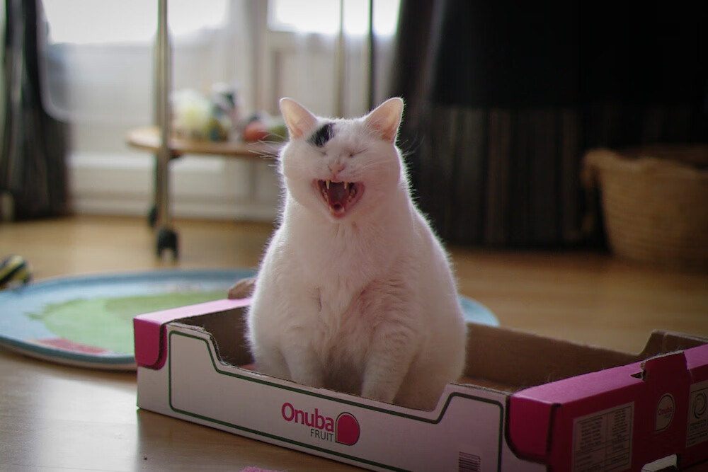 开云入口-西甲教练团队使用情绪识别设备评估战术理解负荷阈值，情感负荷理论