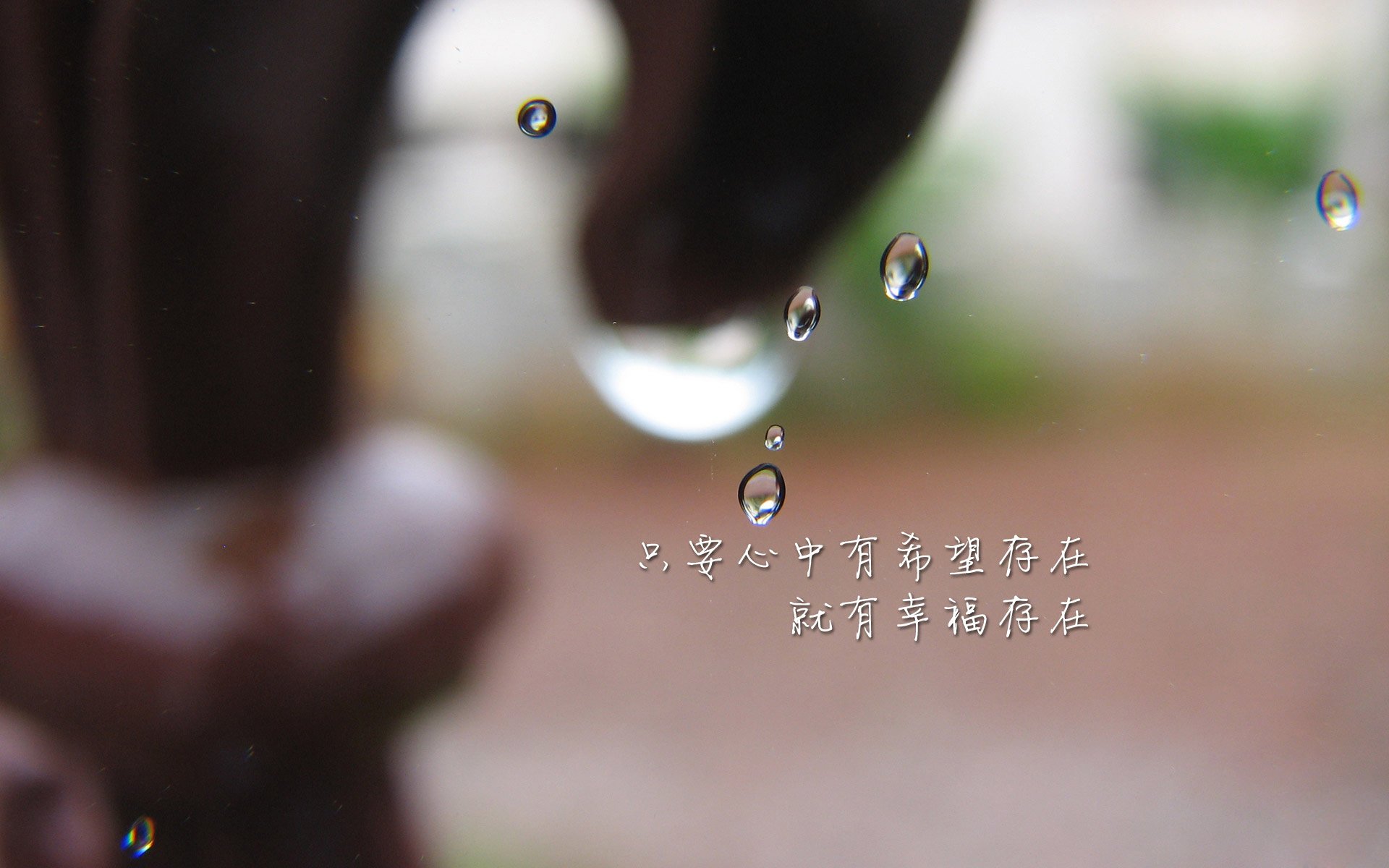高校体能测试数据分析与训练处方智能生成系统，高校学生体测数据管理系统