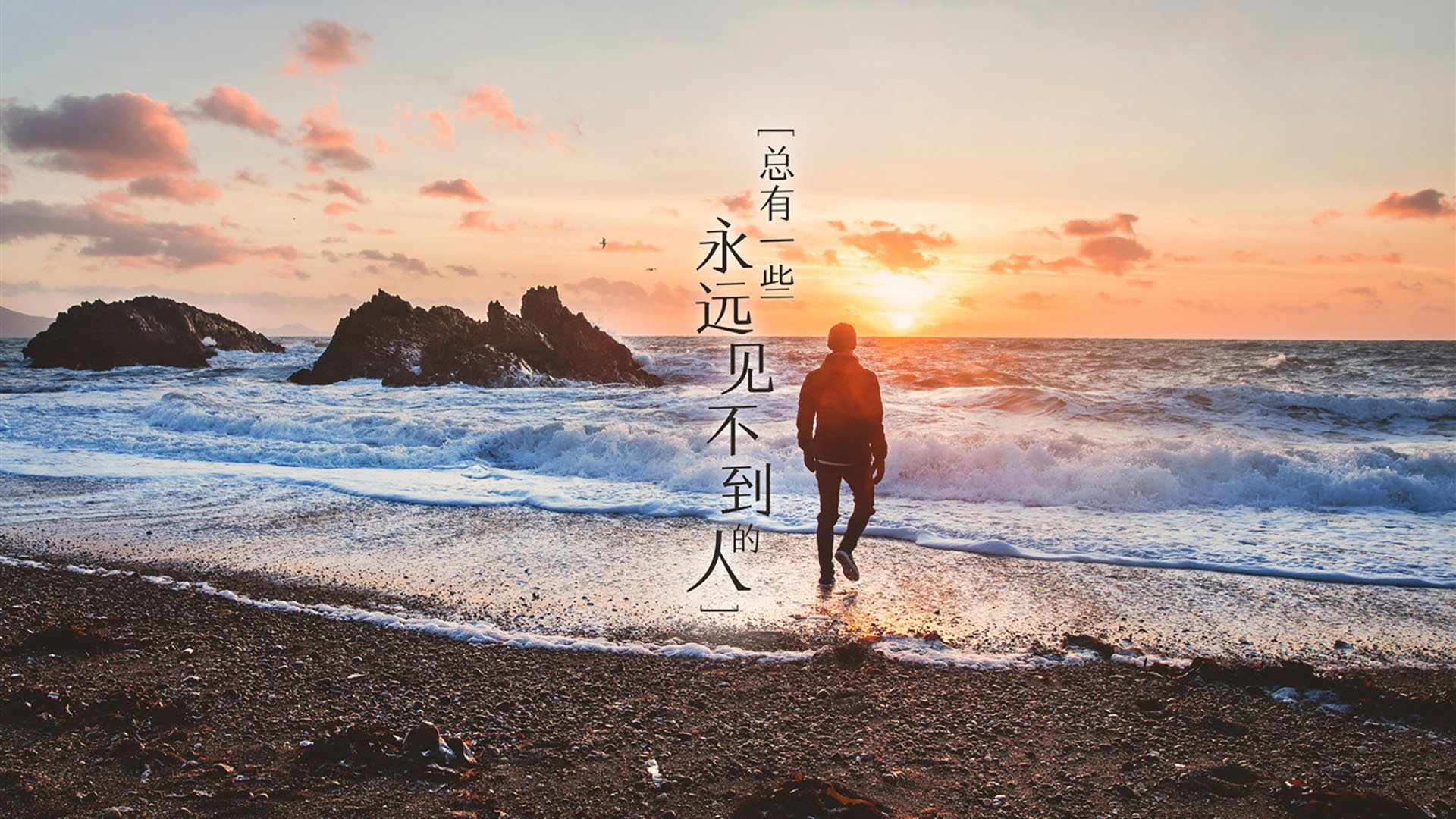 “东部新区定向越野赛：一场体能与脑力的双重较量”