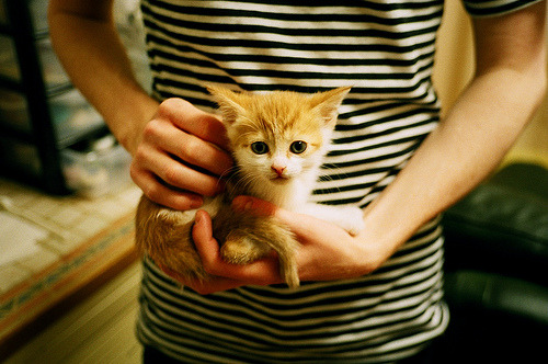 全国青少年自行车联赛倡导绿色出行,2021全国青少年自行车锦标赛