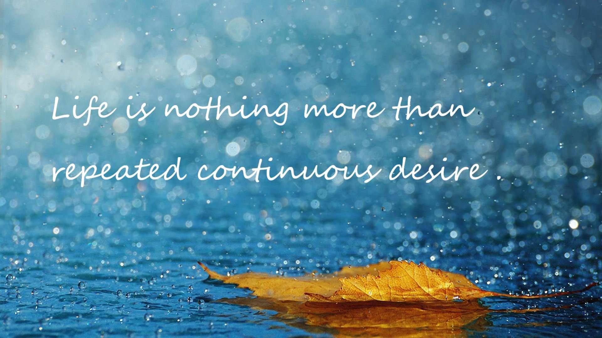 队内文化是否影响战术执行度,队内文化是否影响战术执行度的因素