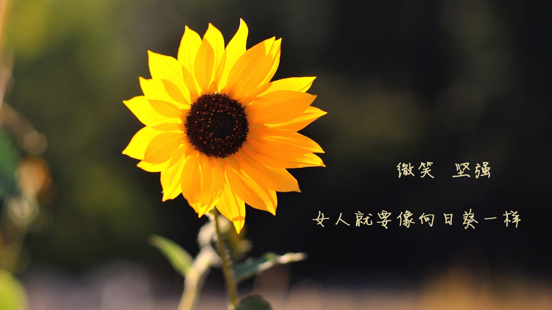 C罗总结本赛季称团队配合最为关键，c罗配合搭档