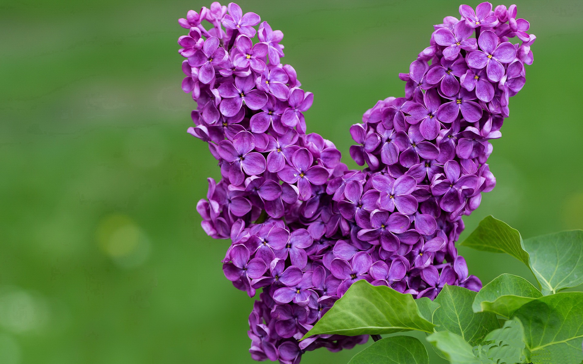 体育媒体融合实验室揭牌运行，体育媒体融合实验室揭牌运行情况报告